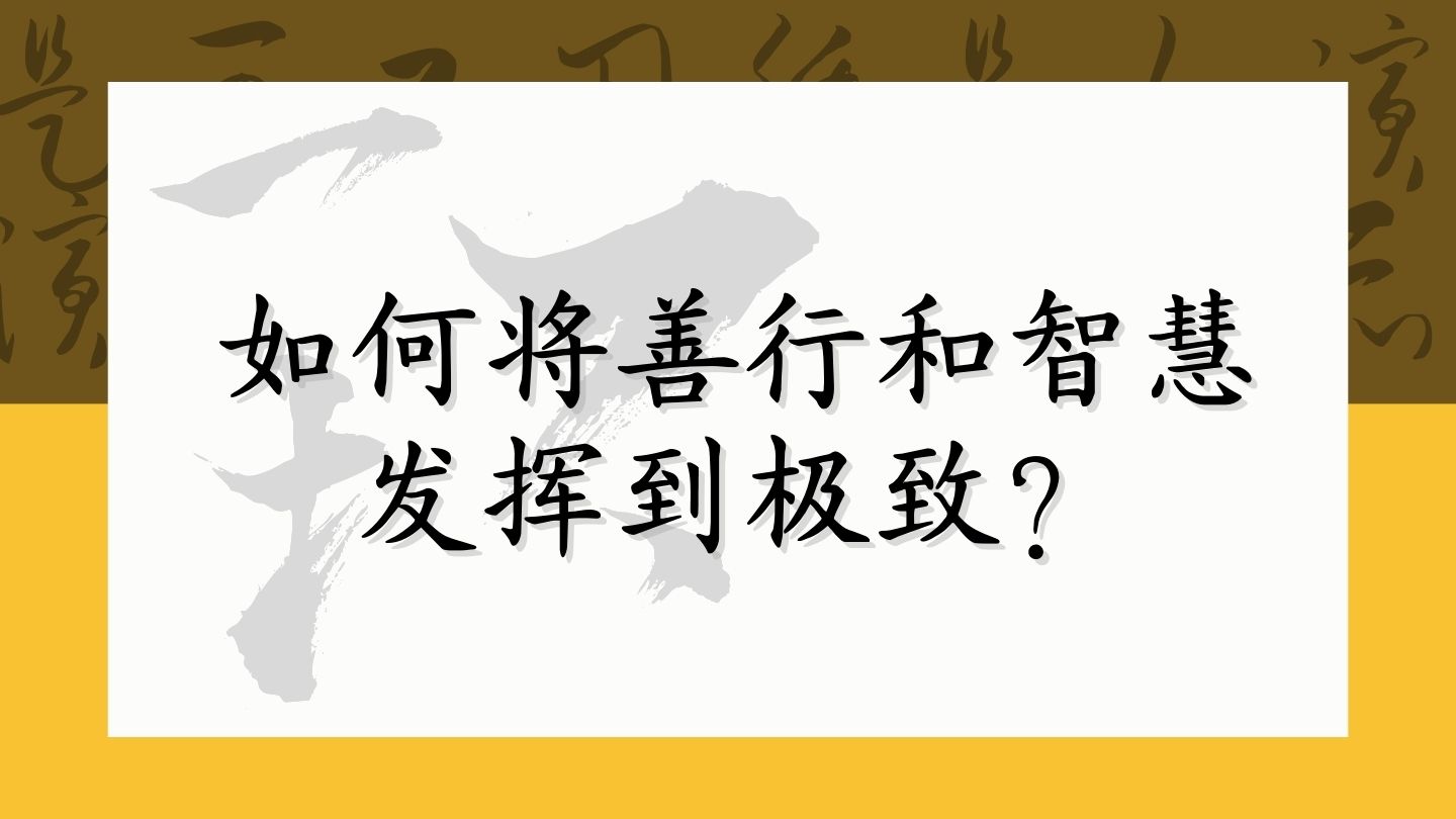 《佛陀传》感人一幕！如何将善行和智慧发挥到极致呢？